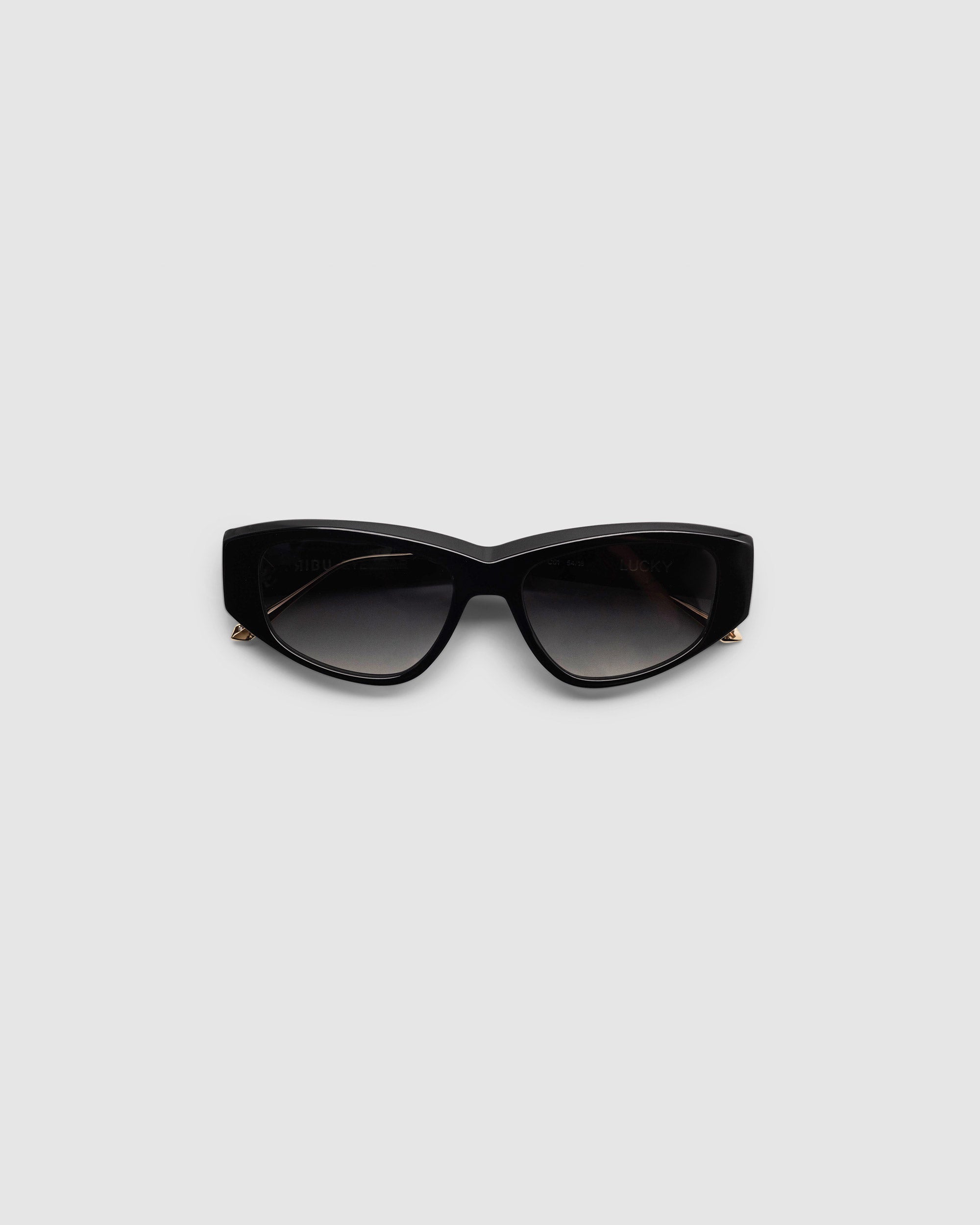 TRIBU LUCKY Black / Grey Gradient  Polarised - acetate eyewear