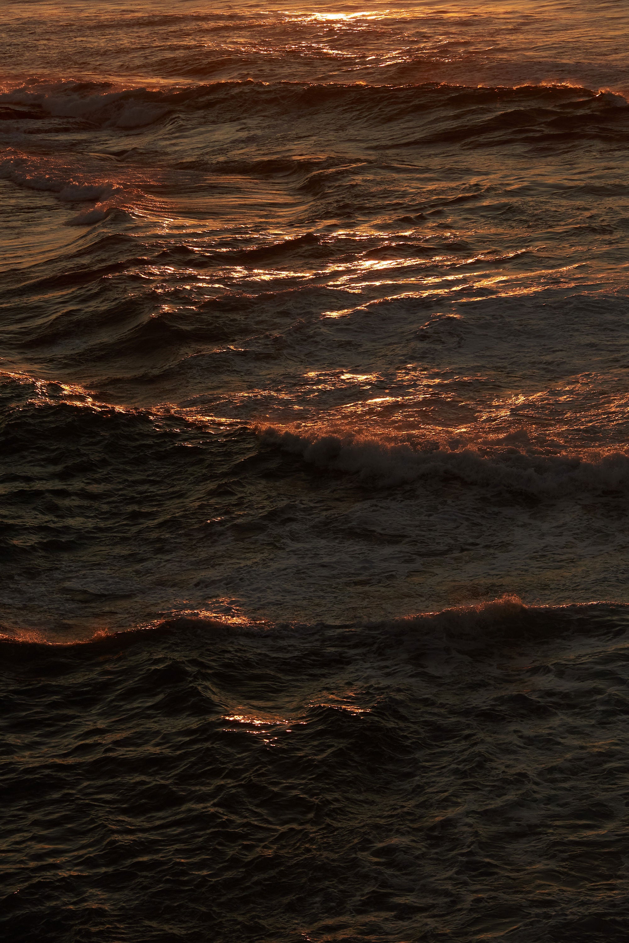 Mihan Aromatics Kirra Curl in Parfum