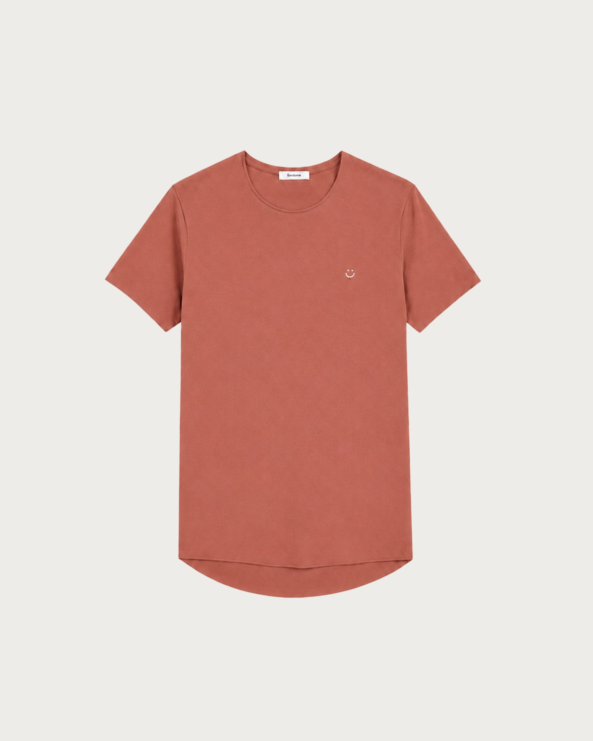 オリジナル 未加工 Tシャツ テラスマイリー